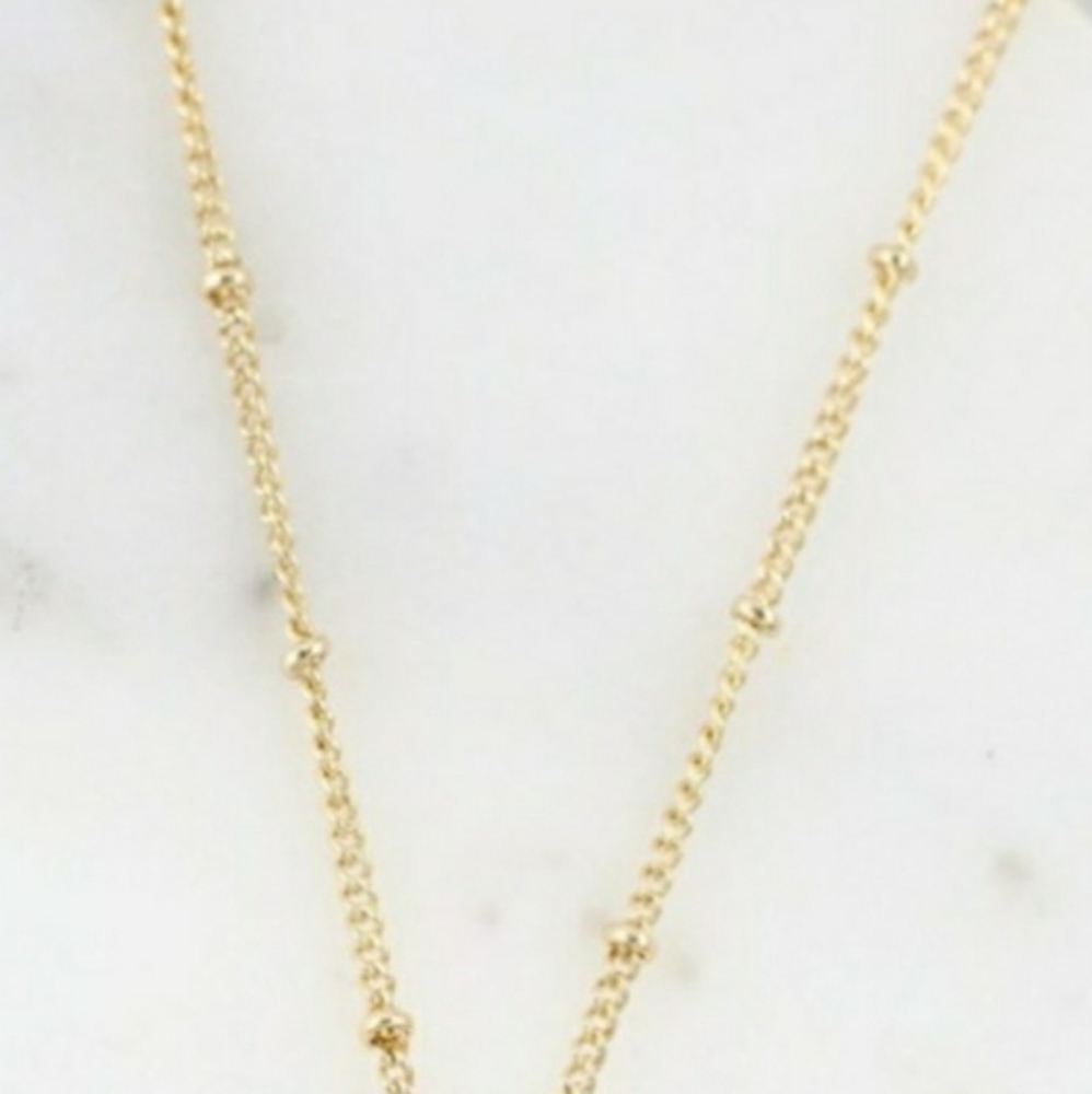 Crescent Horn Necklace - Picture 5 of 5
